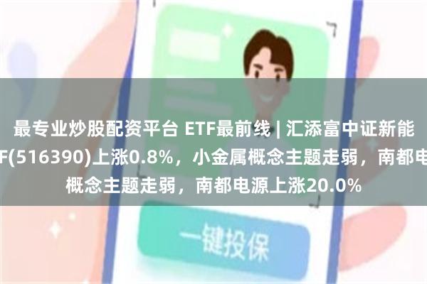 最专业炒股配资平台 ETF最前线 | 汇添富中证新能源汽车产业ETF(516390)上涨0.8%，小金属概念主题走弱，南都电源上涨20.0%