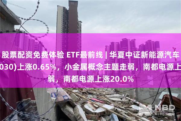 股票配资免费体验 ETF最前线 | 华夏中证新能源汽车ETF(515030)上涨0.65%，小金属概念主题走弱，南都电源上涨20.0%