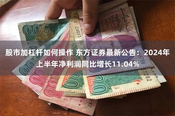 股市加杠杆如何操作 东方证券最新公告：2024年上半年净利润同比增长11.04%