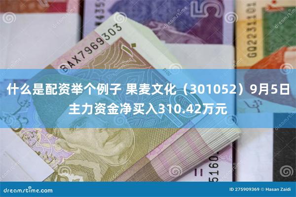 什么是配资举个例子 果麦文化（301052）9月5日主力资金净买入310.42万元