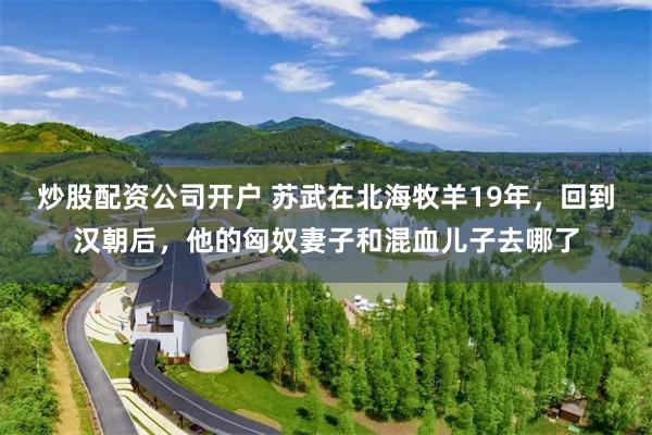 炒股配资公司开户 苏武在北海牧羊19年，回到汉朝后，他的匈奴妻子和混血儿子去哪了