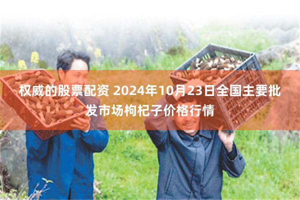 权威的股票配资 2024年10月23日全国主要批发市场枸杞子价格行情