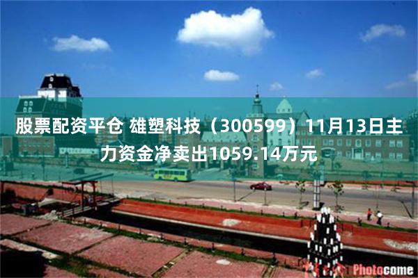 股票配资平仓 雄塑科技（300599）11月13日主力资金净卖出1059.14万元