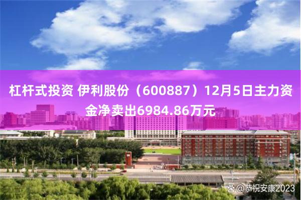 杠杆式投资 伊利股份（600887）12月5日主力资金净卖出6984.86万元