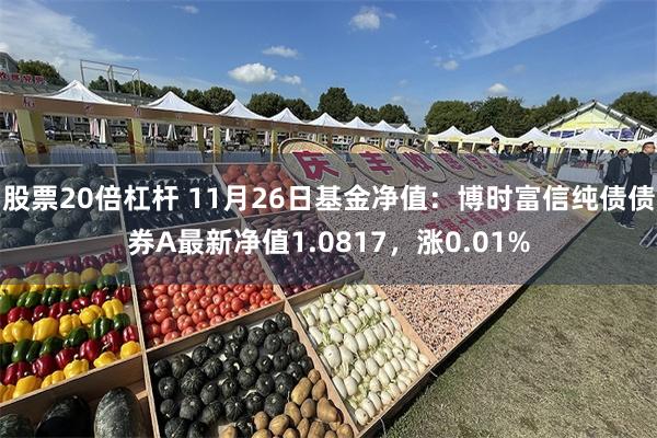 股票20倍杠杆 11月26日基金净值：博时富信纯债债券A最新净值1.0817，涨0.01%