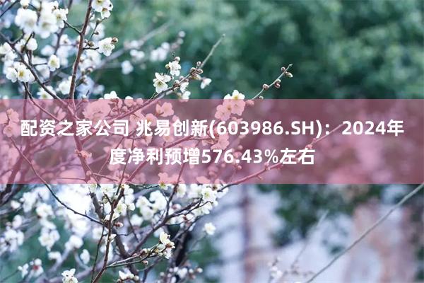 配资之家公司 兆易创新(603986.SH)：2024年度净利预增576.43%左右
