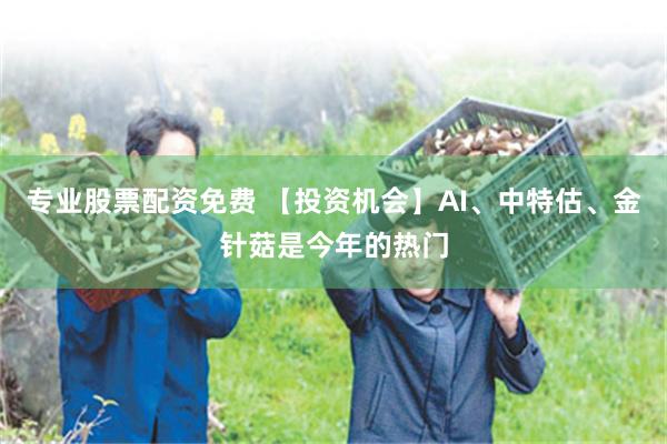 专业股票配资免费 【投资机会】AI、中特估、金针菇是今年的热门