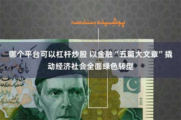 哪个平台可以杠杆炒股 以金融“五篇大文章”撬动经济社会全面绿色转型