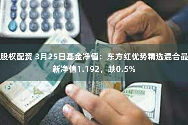 股权配资 3月25日基金净值：东方红优势精选混合最新净值1.192，跌0.5%