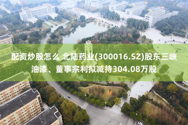 配资炒股怎么 北陆药业(300016.SZ)股东三峡油漆、董
