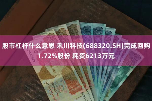 股市杠杆什么意思 禾川科技(688320.SH)完成回购1.