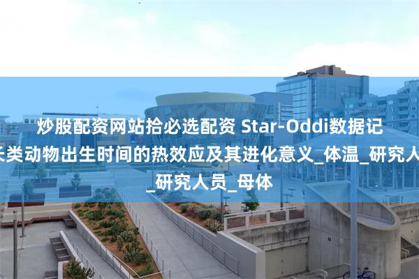 炒股配资网站拾必选配资 Star-Oddi数据记录器灵长类动
