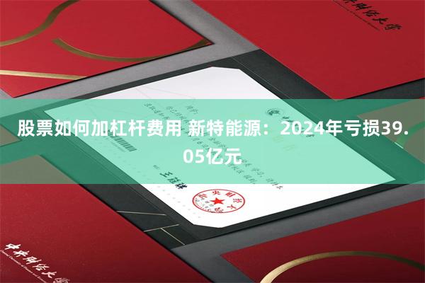 股票如何加杠杆费用 新特能源：2024年亏损39.05亿元