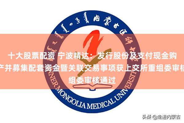 十大股票配资 宁波精达：发行股份及支付现金购买资产并募集配套