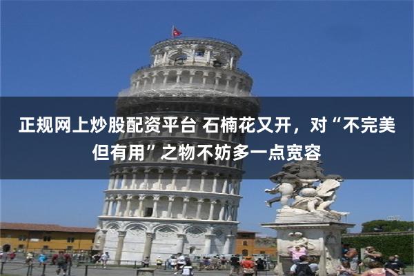 正规网上炒股配资平台 石楠花又开，对“不完美但有用”之物不妨