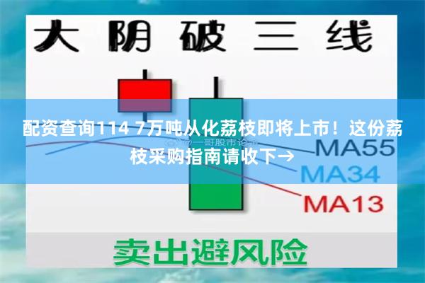 配资查询114 7万吨从化荔枝即将上市！这份荔枝采购指南请收