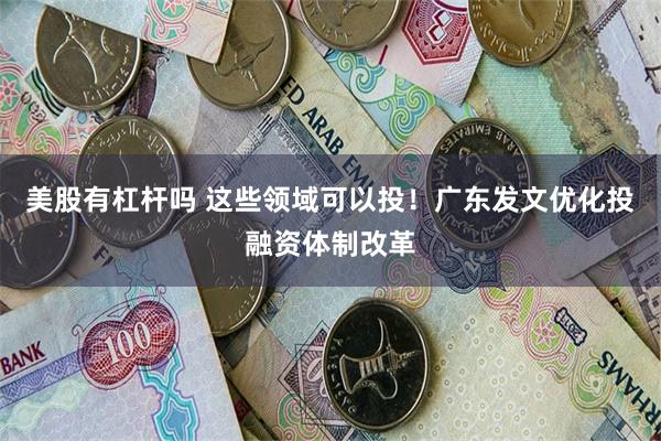 美股有杠杆吗 这些领域可以投！广东发文优化投融资体制改革