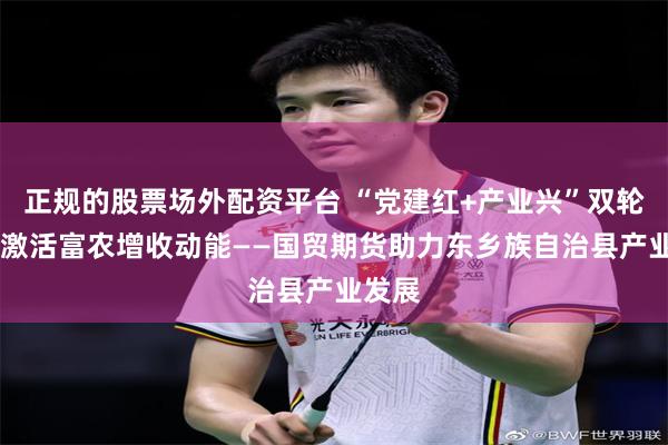正规的股票场外配资平台 “党建红+产业兴”双轮驱动 激活富农