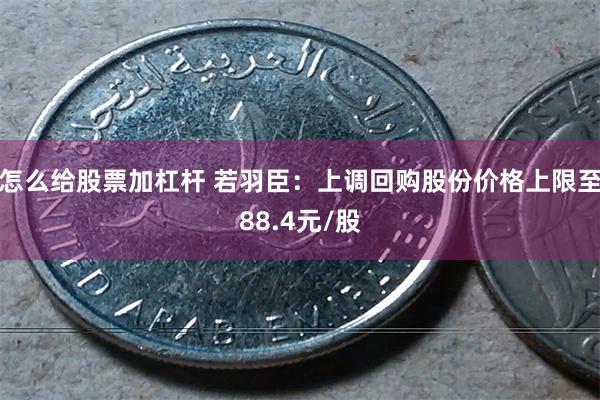 怎么给股票加杠杆 若羽臣：上调回购股份价格上限至88.4元/