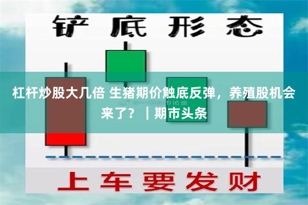 杠杆炒股大几倍 生猪期价触底反弹，养殖股机会来了？｜期市头条