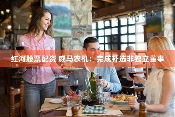 红河股票配资 威马农机：完成补选非独立董事