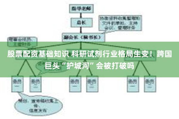 股票配资基础知识 科研试剂行业格局生变！跨国巨头“护城河”会