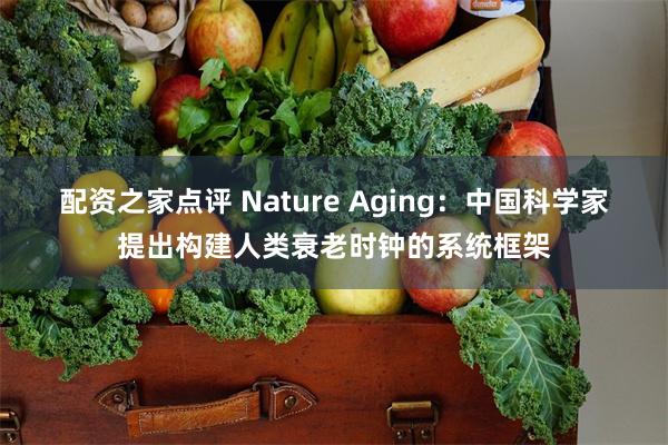 配资之家点评 Nature Aging：中国科学家提出构建人